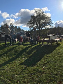 Björsjöås Vildmark - Rooms and small camping cabin close to nature, Olofstorp, Sweden