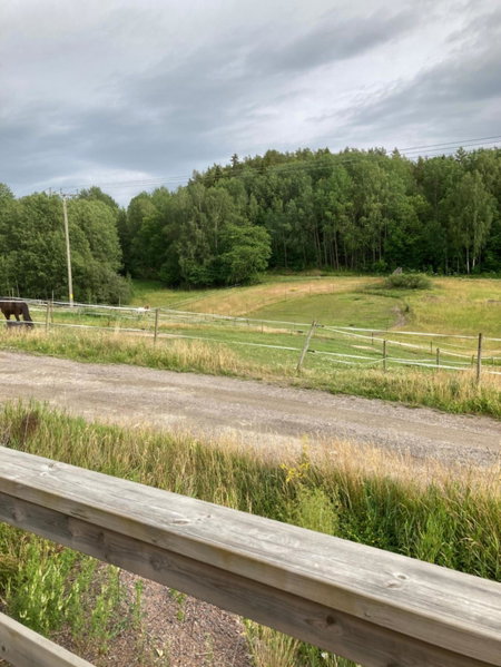 Asplunda Gård, Kolmården stuga nr 2, Kolmården, Sweden