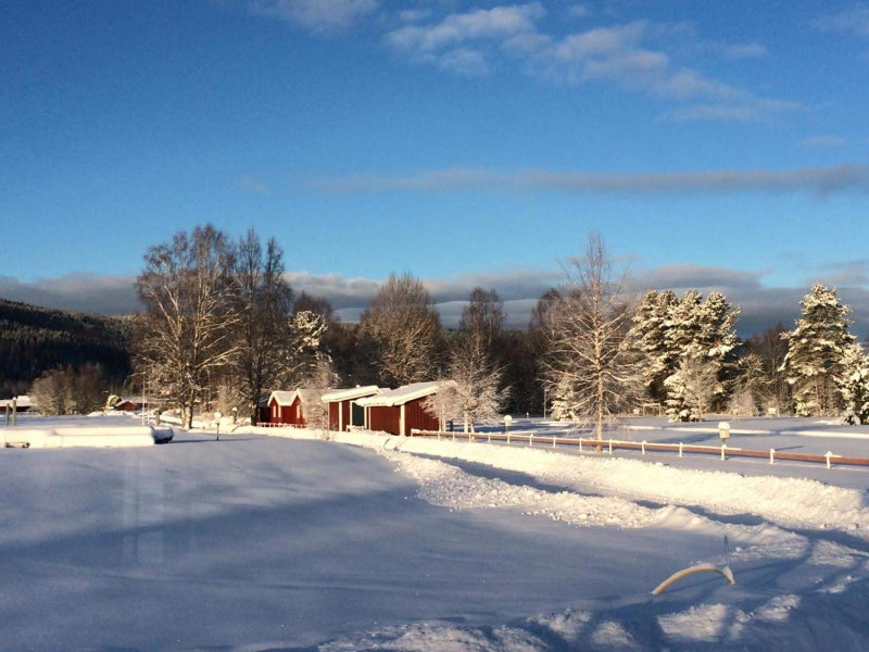 Alevi Camping, Stöllet, Sweden