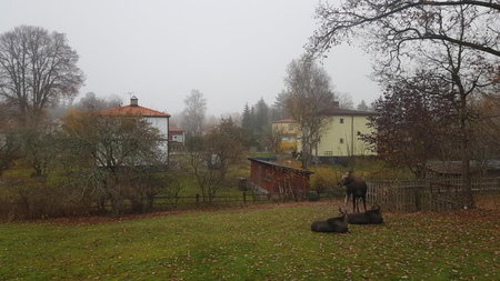 Trevligt hus med egen gård och fri Wifi, Emmaboda kommun, Lindås, Lindås, Sweden