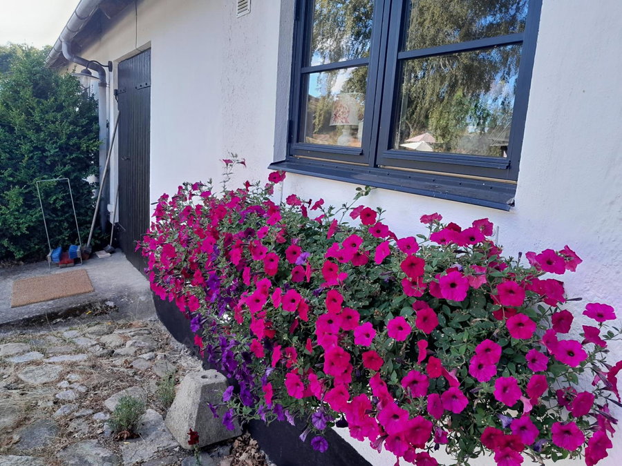 Brösarp Källagården Lilla Gårdslägenheten, Brösarp, Швеция