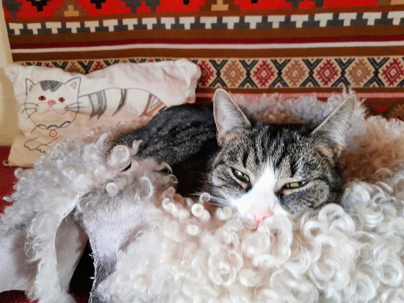 Brösarp Källagården Lilla Gårdslägenheten, Brösarp, Швеция