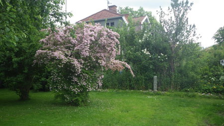 Bergsvägen Bed & Breakfast, Urshult, Sweden
