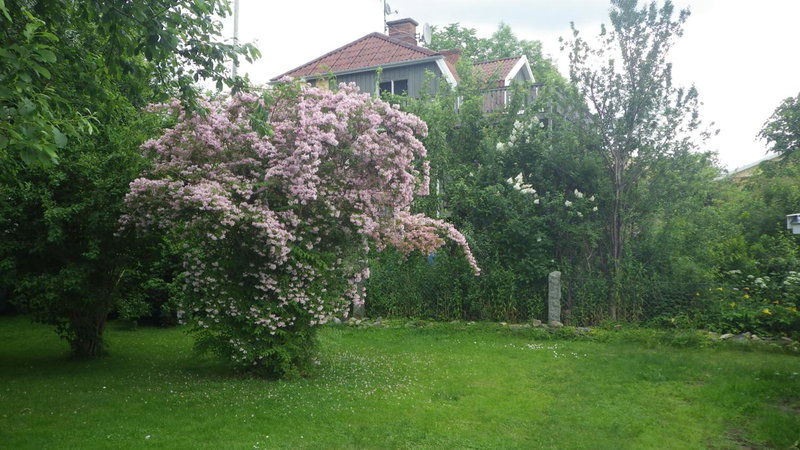 Bergsvägen Bed & Breakfast, Urshult, Sweden