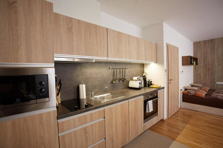Apartment Rezidence - Javor & Wellness, Železná Ruda, Czechia