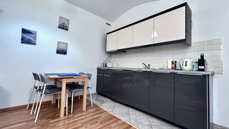 Ground Floor Apartment, Prague, Czechia