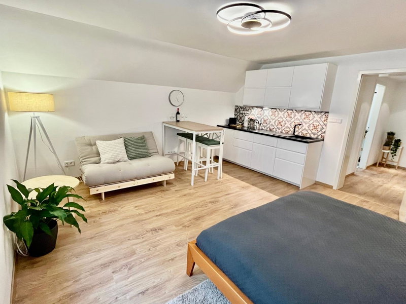 Apartmány Dlouhá, Tábor, Tchéquie