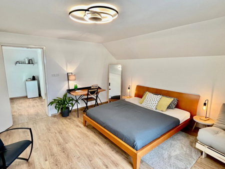 Apartmány Dlouhá, Tábor, Tchéquie