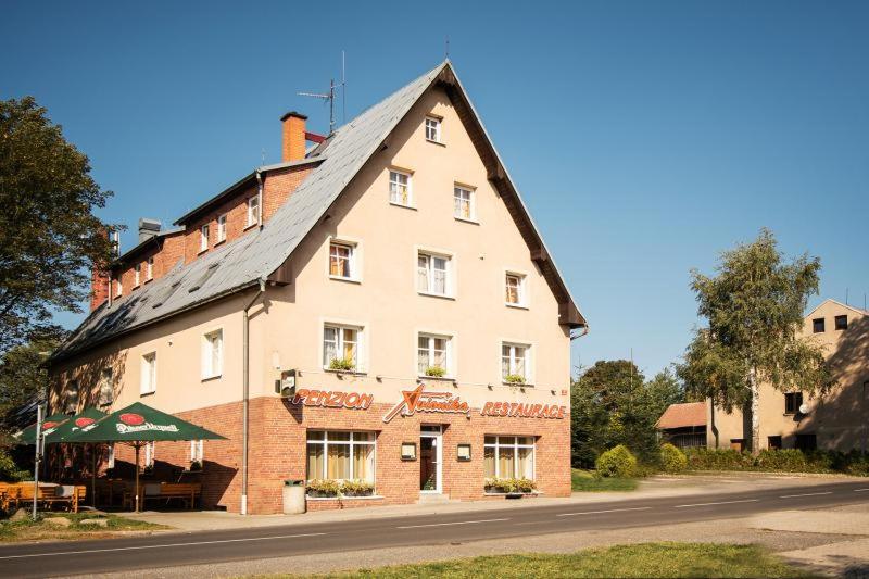 Hotel · Penzion Avionika, Kovářská