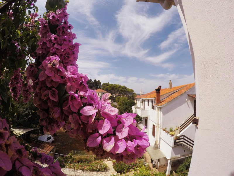 Apartmani Štambuk, Jelsa, Croacia