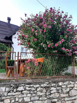 Guesthouse Milka, Poljanak, Croatia