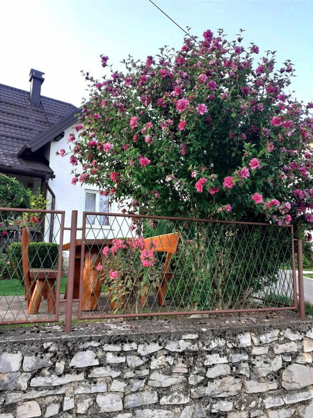 Guesthouse Milka, Poljanak, Croatia