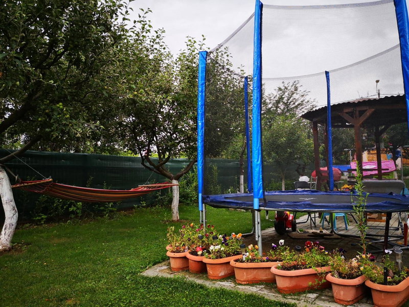 Podgoria Guesthouse- Camere de închiriat, Oradea, Румыния