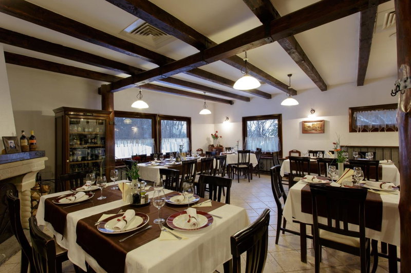 Hotel Helen, Bacău, Romania