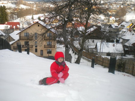 Pensiunea Sarah Bran, Zarnesti, Romania