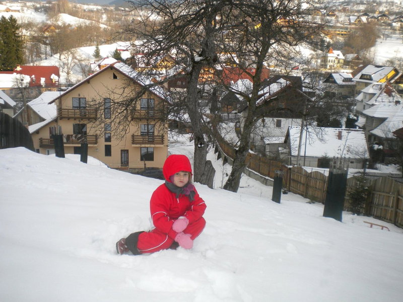 Pensiunea Sarah Bran, Zarnesti, Romania