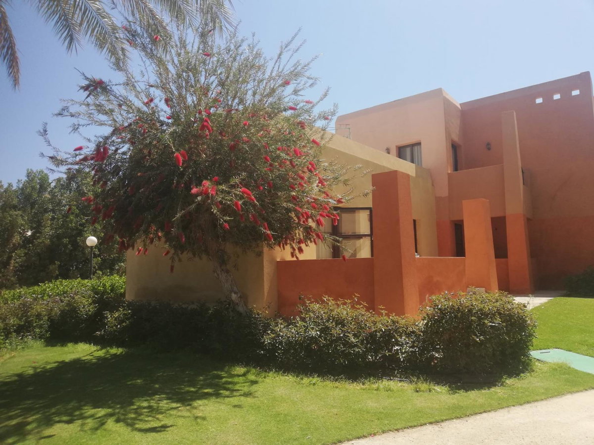 Chalet at Stella Makadi Beach, Ägypten