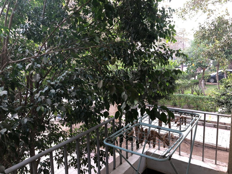 Luxury three bedroom apartment in degla maadi, Cairo, Egypt