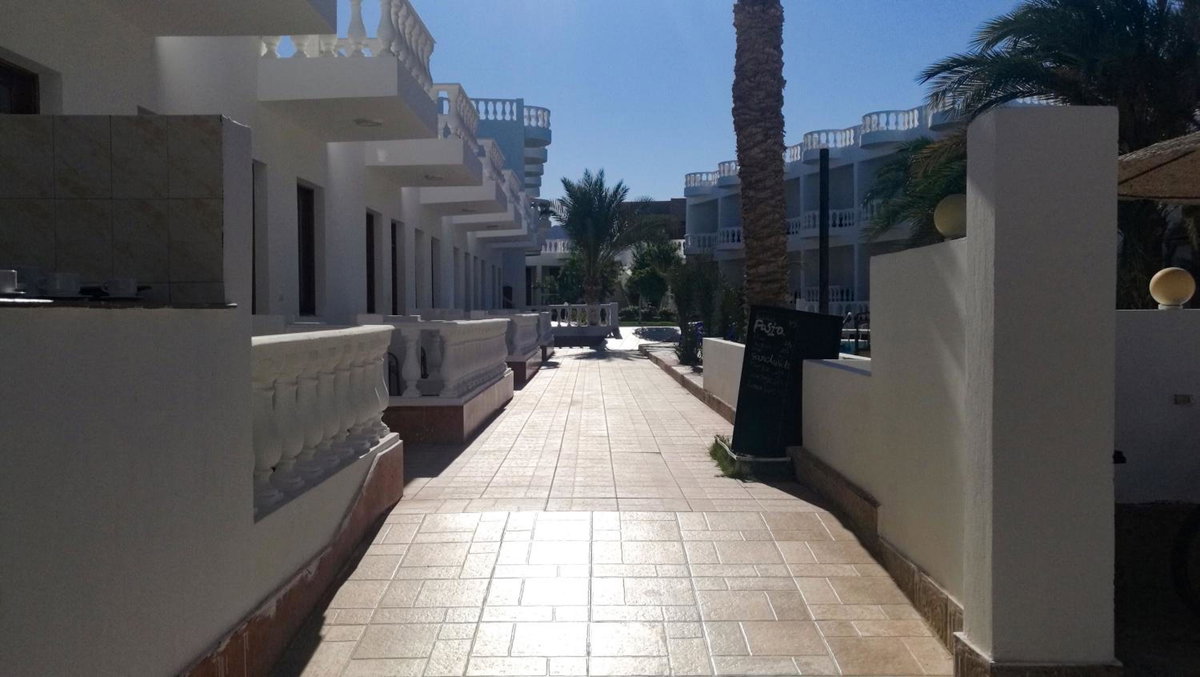 Octopus Hotel, Egipto