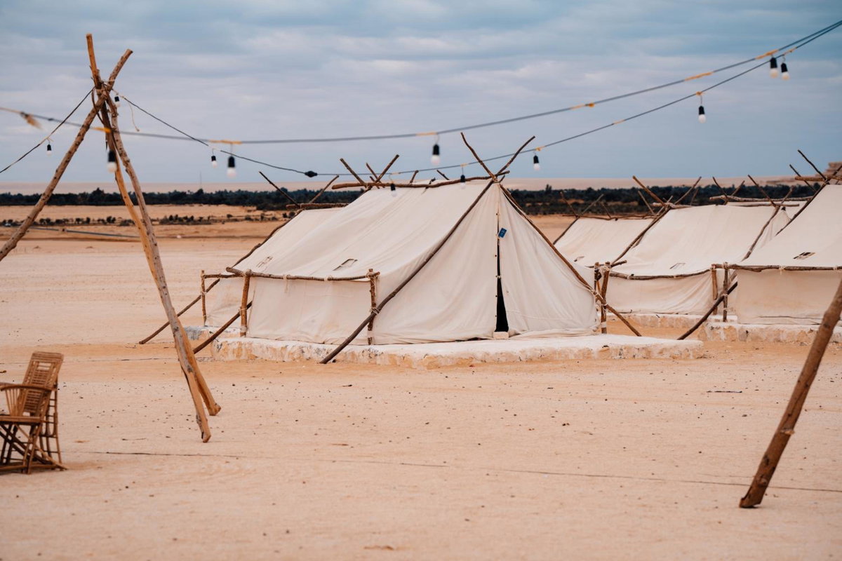 Tzila Camp, Égypte