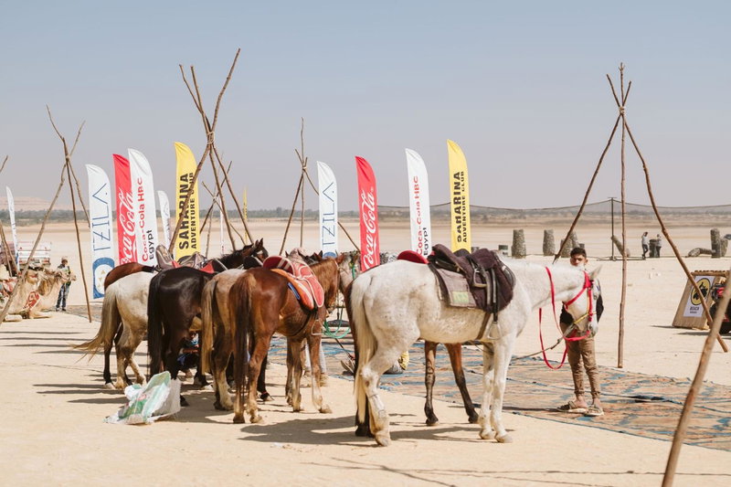 Tzila Camp, Fayoum Center, Egypt
