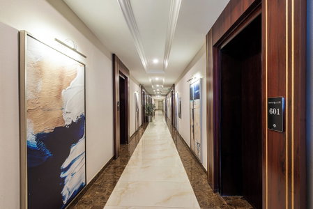 Al Qasr Hotel Suites - Al Wadiin, Ahad Rafidah, Saudi Arabia