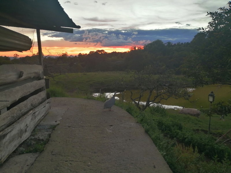 Rancho Ventura, Filandia, Colombia