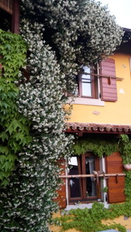 Rozina Vacation House, Pliskovica, Slovenia