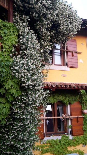 Rozina Vacation House, Pliskovica, Slovenia