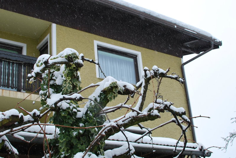 Farm Stay Bogša, Ormoz, Словения