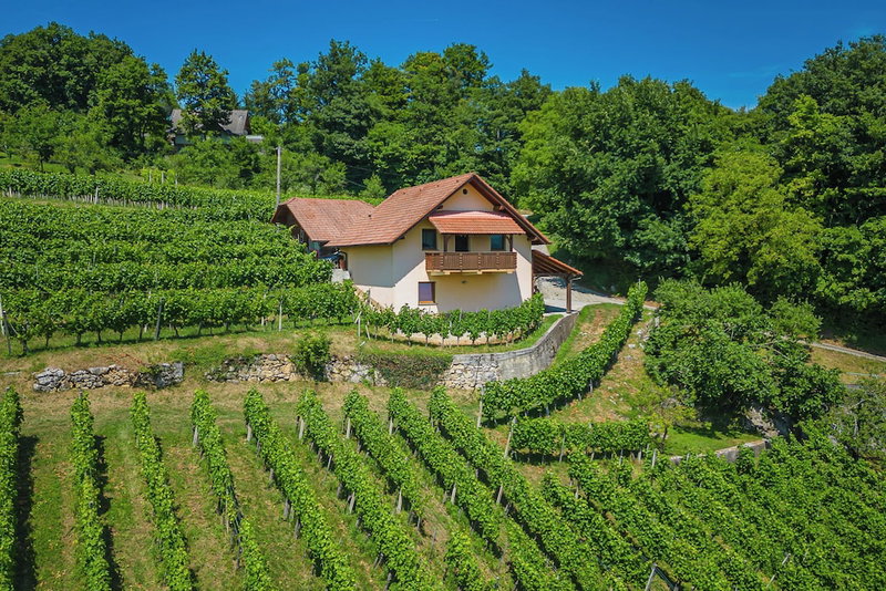 Vineyard Cottage Ucman, Novo Mesto, Slovénie
