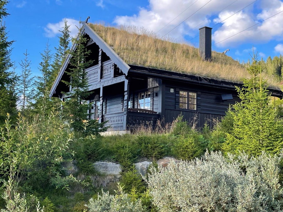 Ski and Bike-In and Out, Hafjell, Norway