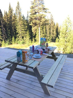 Lillebjørn, Trysil, Noruega