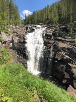 Lillebjørn, Trysil, Noruega