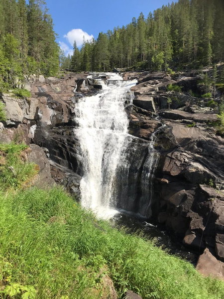 Lillebjørn, Trysil, Noruega