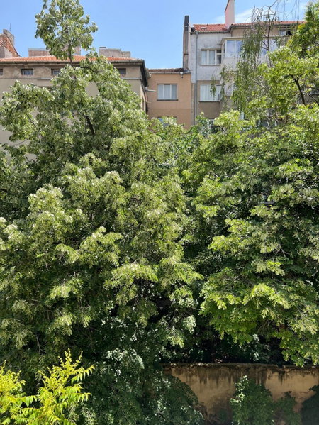 Home 12, Sofia, Bulgaria