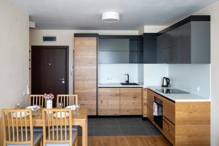 Modern and Spacious apartments in the City Centre, Sofia, Болгария