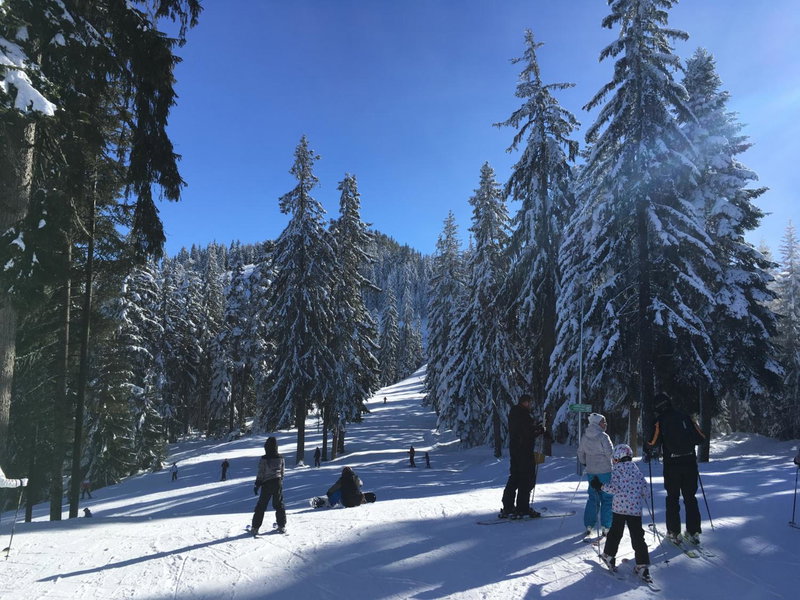 Studio in Hotel Flora Borovets, Borovets, Bulgaria