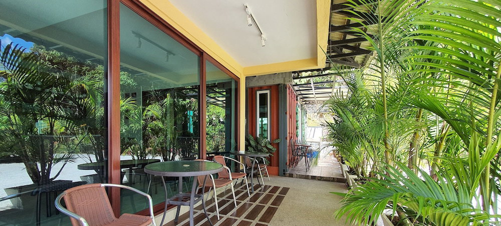Arundina Cameron Highlands, Tanah Rata, Malaysia
