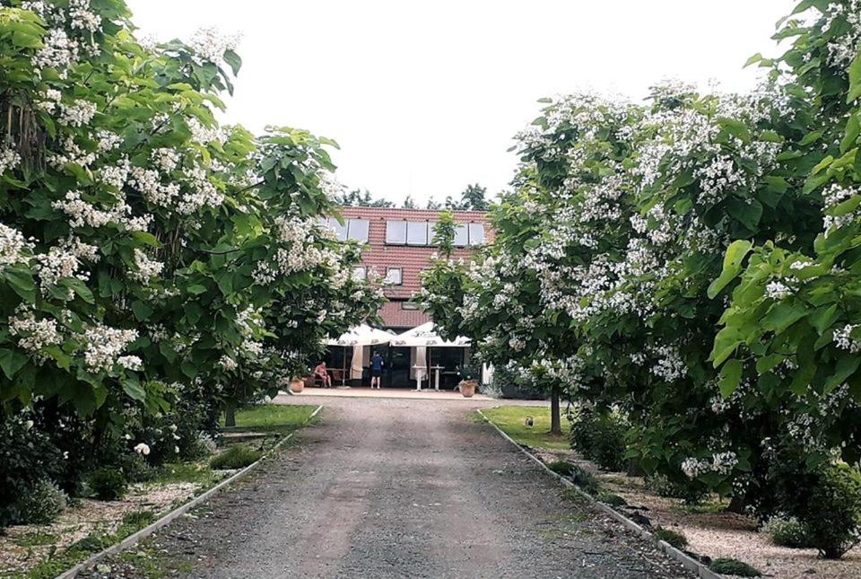 Hotel · Caballus Lovasmajor Panzió, Nyíregyháza