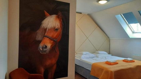 Caballus Lovasmajor Panzió, Nyíregyháza, Hungary