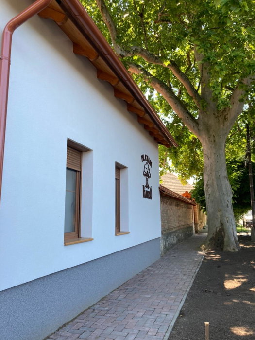 Platán Panzió, Csongrád, Hungría
