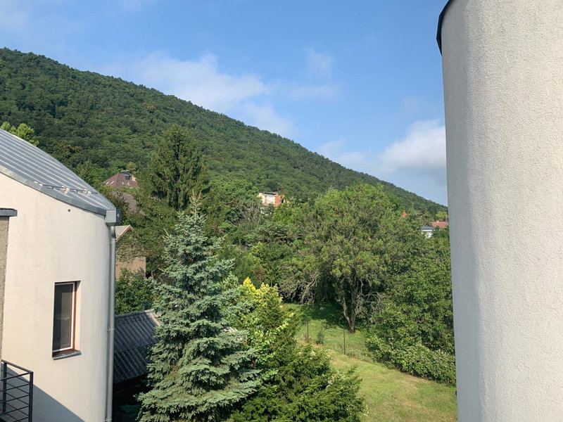 Maharaja Mountain Palace with Free Privat Parking and Garden, Budapest, Hungary
