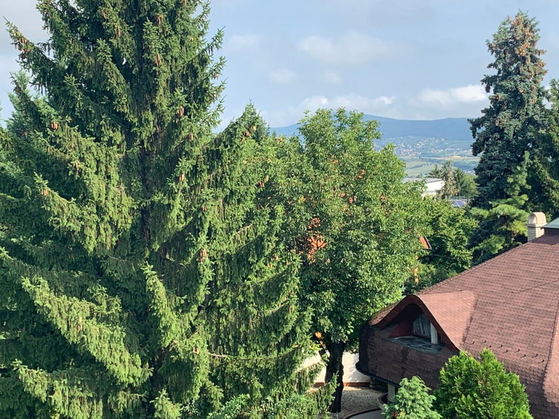 Maharaja Mountain Palace with Free Privat Parking and Garden, Budapest, Hungary