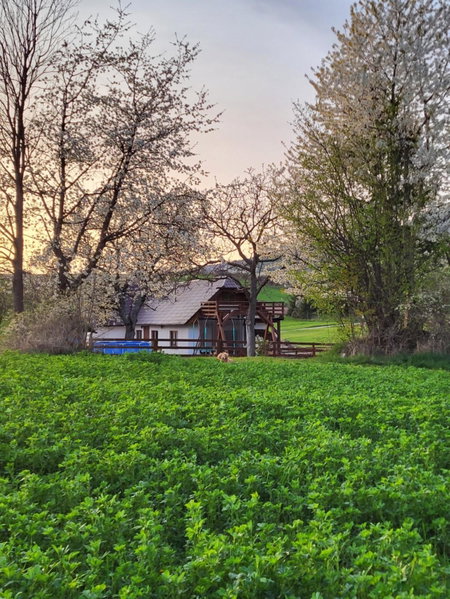 Chalupa Romantik na Hrinovskych lazoch, Hriňová, Slovakia