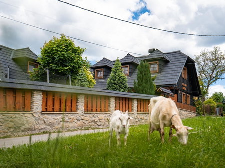 Drevenička v Ďurčinej - Anna, Ďurčiná, Slovakia
