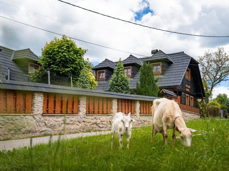 Drevenička v Ďurčinej - Anna, Ďurčiná, Slovakia