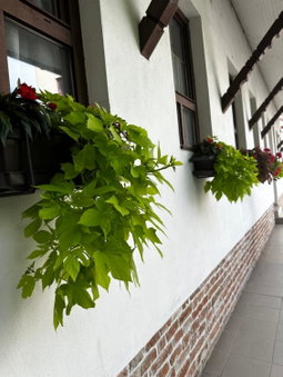 Apartman Reduta, Lučenec, Slovakia
