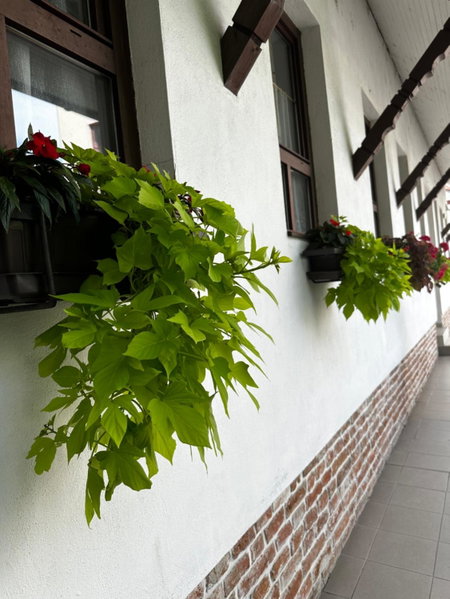 Apartman Reduta, Lučenec, Slovakia