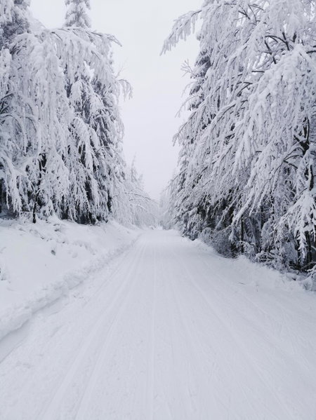 Kordíky, Kordíky, Slovakia